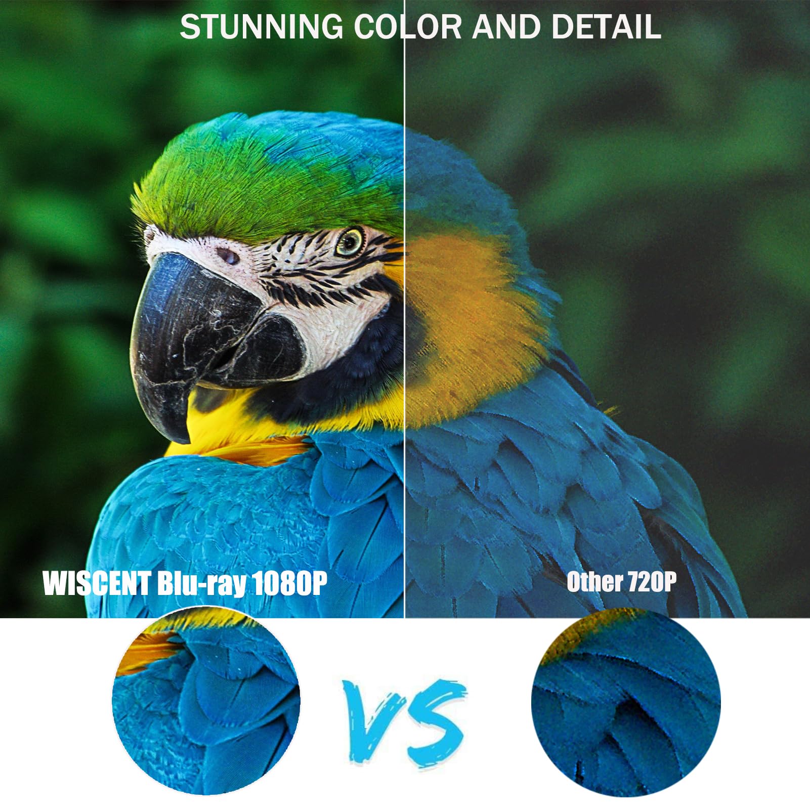 Blu-Ray Player für TV, WISCENT DVD Player mit Koaxial/HDMI/AV/Ausgang, USB-Eingang, Alle DVDs und Region B/2 Blue Ray Discs, Kompakter Full HD 1080p Bluray Player 6