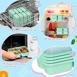 Bento Box for Adults and Snack Containers Set of 4