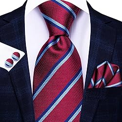 Hi-Tie 3 Pcs Gift Box Mens Tie Set Necktie with