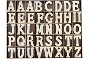 205 Pieces 2 Inch Wooden Letters Wood Alphabets for Crafts,Organized with Extra Common Letters