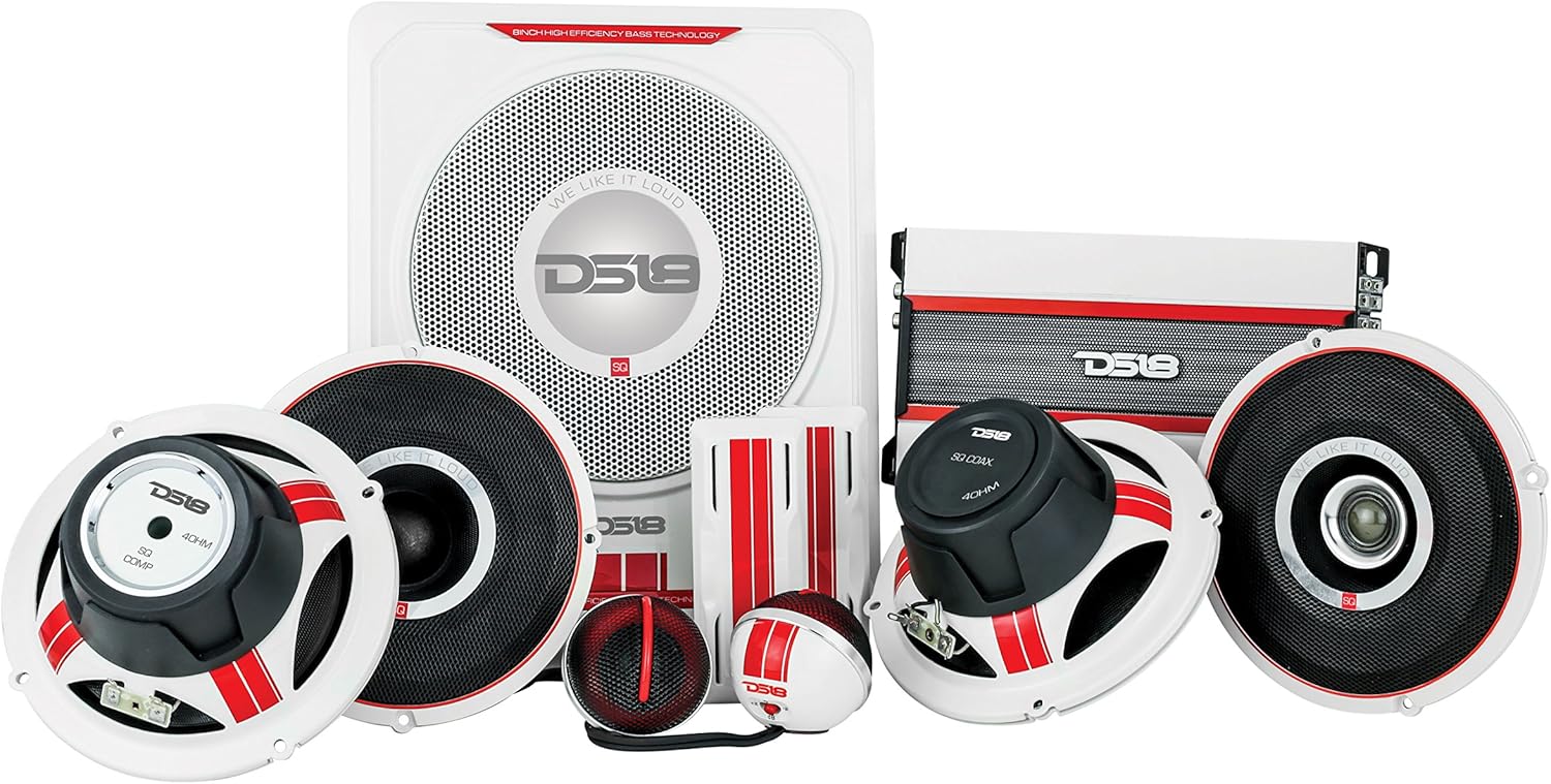 ds18 speakers 10