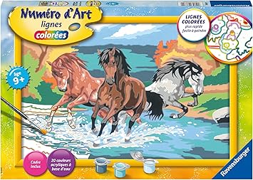 Ravensburger Numero D Art Grand Format Horde De Chevaux Loisir Creatif Peinture Enfant Des 9 Ans 28682 Amazon Fr Jeux Et Jouets