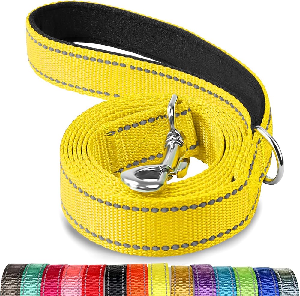 Joytale Double-Sided Reflective Dog Leash 6 5 4 FT Padded Handle Nylon