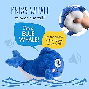blue whale teddy