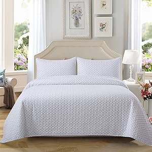 Soul & Lane On The Dot 100% Cotton Polka Dot 3-Piece Quilt Set - King with 2 Shams | Solid Modern Quilted Bedspread
