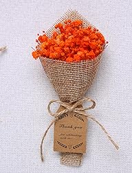 20-Piece Set Mini Magnet Dried Flowers Bouquet for