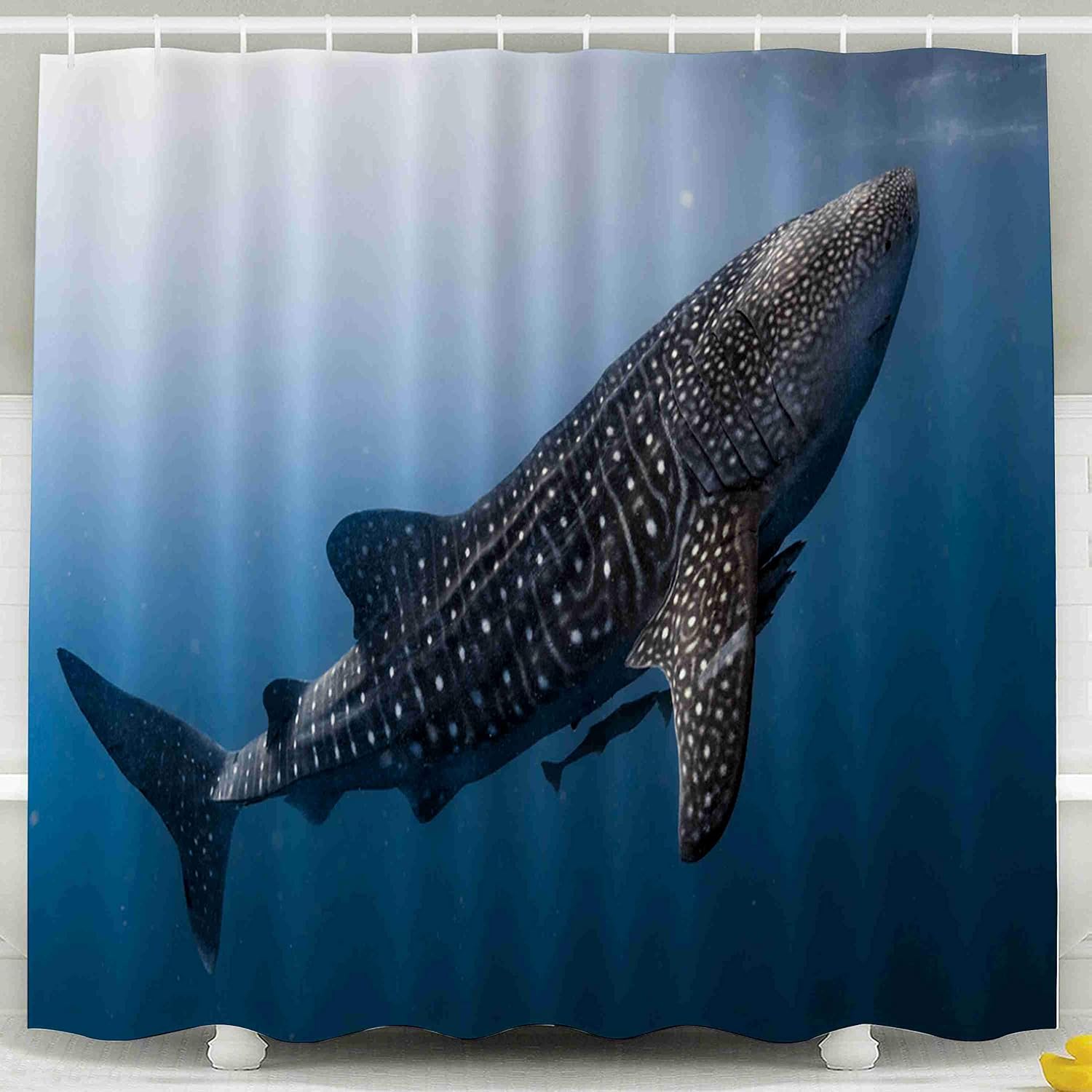 Tooperue Shower Curtain for Bathroom with Hooks Whale Shark Very Near Looking You Underwater in Does Not Attack Humans Papua It 78×72 Inch,Eco-Friendly,No Oder,Waterproof,Black Orange