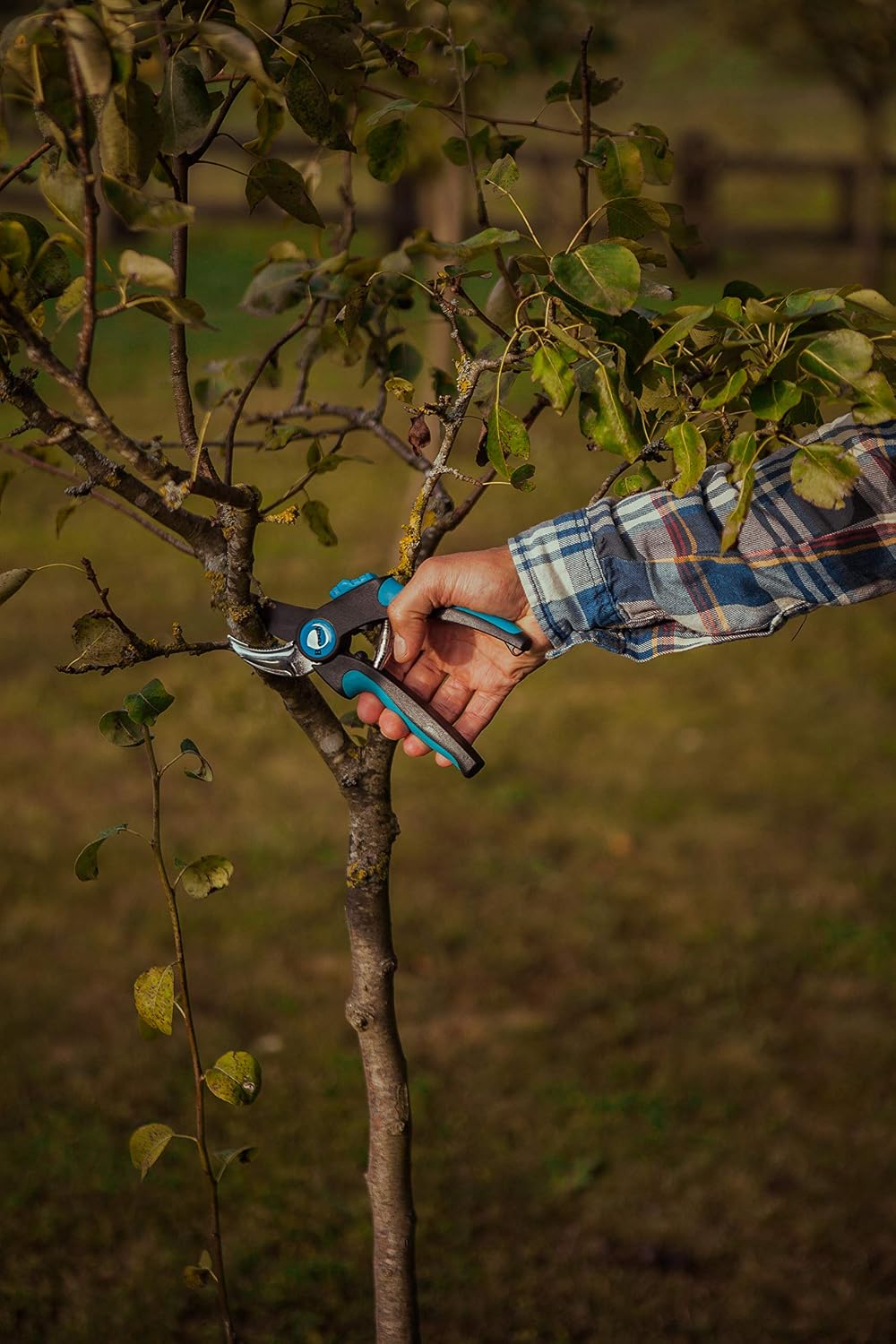 Altuna Pruning Shears 1 Hand Intensive Work Trimmers/Shapers (Multi-Colour), (Multicoloured) - Image 5