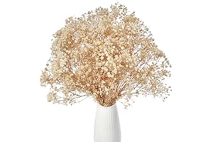 Gipizi Dried Baby's Breath Flowers Bouquet, 17 inch Natural White Dried Flowers Babys Breath Bulk 2500+, Real Gypsophila Branches for Wedding, Party, Table Vase, DIY Wreath Floral, Home Decor
