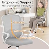 nasPaluro Ergonomic Computer Desk Chair with 3D Lumbar Support Gray view 3