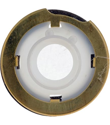 Amazon.com: Dorman 83230 Horn Contact Kit Compatible with