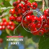 ALPHA01 Organic Hawthorn Berry 1000mg Vegan Capsules 180 view 4
