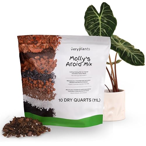 Molly's Aroid Mix - Premium Soilless Potting Mix for Houseplants - Fast Draining Soak Up & Chunky vs. Potting Soil for Indoor Plants - with Bark, Coco Chips, Worm Castings, Mycorrhizae 11 Liters