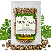 Garden Haven Moringa Seeds 2 oz, 200+ PKM1 Seeds for Eating &amp; Planting | Wingless sun-dried Moringa Oleifera, semillas de moringa, malunggay, drumstick tree seeds, resealable pouch, Non-GMO