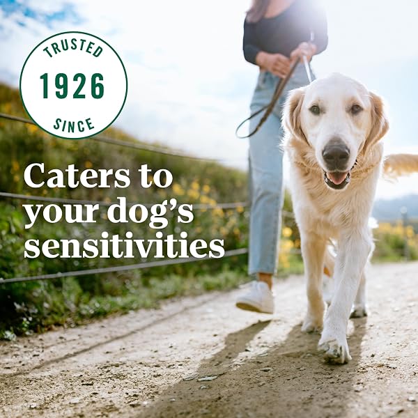 NUTRO LIMITED INGREDIENT DIET DRY DOG FOOD, ADULT DOG FOOD DRY SALMON & LENTILS RECIPE, 4 LBS.