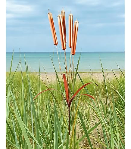 Amazon.com : Ancient Graffiti Flamed Triple Calla Lily Garden