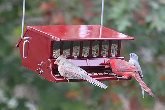 No Birds Choice Feeder By Heritage Farms 7512 Chimiochart Gr