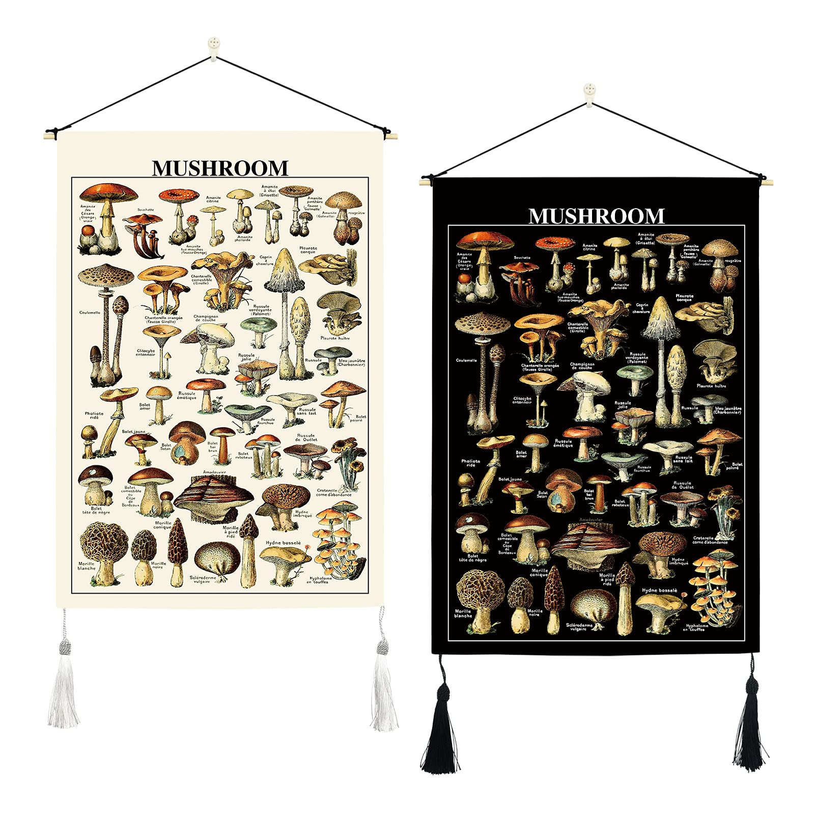 ORTIGIA 2 Pack Mushroom Tapestry With Tassels - Vintage Wall Hanging Illustrative Reference Chart Fungus Wall Art - Colorful Home Decor for Bedroom Living Room 14" W x 20" L (35cmx50cm)