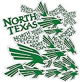 Desert Cactus University of North Texas Sticker UNT Mean Green Vinyl Decals Laptop Water Bottle Car Scrapbook Sheet T1 (Type 1-1)