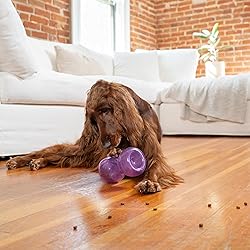 Outward Hound Double Snoop Interactive Treat