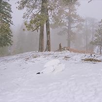 81vWSUtGdhL._AC_UL210_SR210,