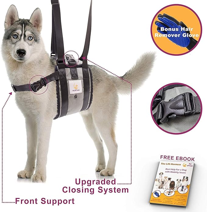 paralyzed dog harness