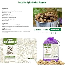 THE AMISH ECO-FARM | Fancy Size | Bulk Raw Peanuts