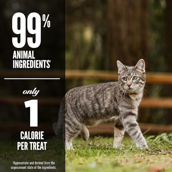 ORIJEN SIX FISH FREEZE DRIED CAT TREATS, GRAIN FREE TREATS FOR CATS, RAW ANIMAL INGREDIENTS, 1.25OZ