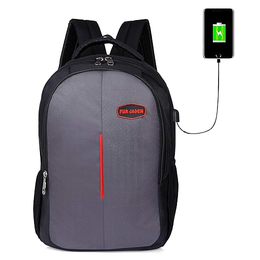 Fur Jaden Grey 25L casual Backpack