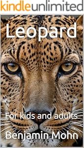 kindle best category lists