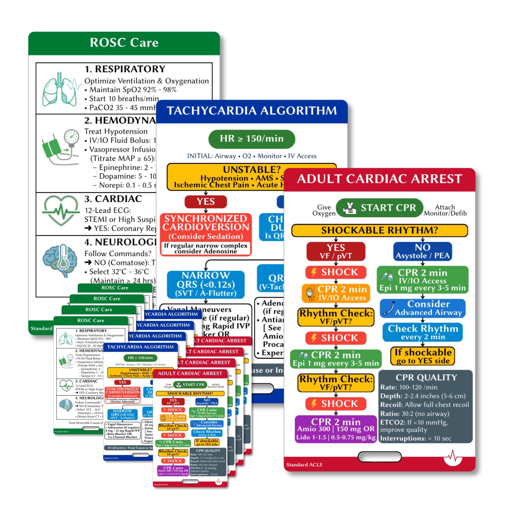 Photo 1 of 2025 ACLS Badge Buddy [5-Pack] - Advanced Cardiac Life Support Cards for ER Nurse, ICU & Paramedics - Waterproof PVC Reference with Meds, Hs & Ts, Cardiac Arrest & Arrhythmia Algorithms (5)