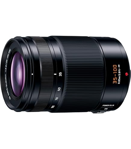 Panasonic Interchangeable Lens LUMIX G X Vario 35-100mm / F2.8 II