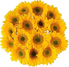 Whole Foods Market, Sunflower Grower Bunch, 15 Stems