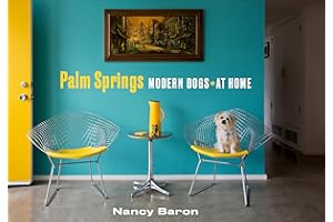 Palm Springs Modern Dogs at Home