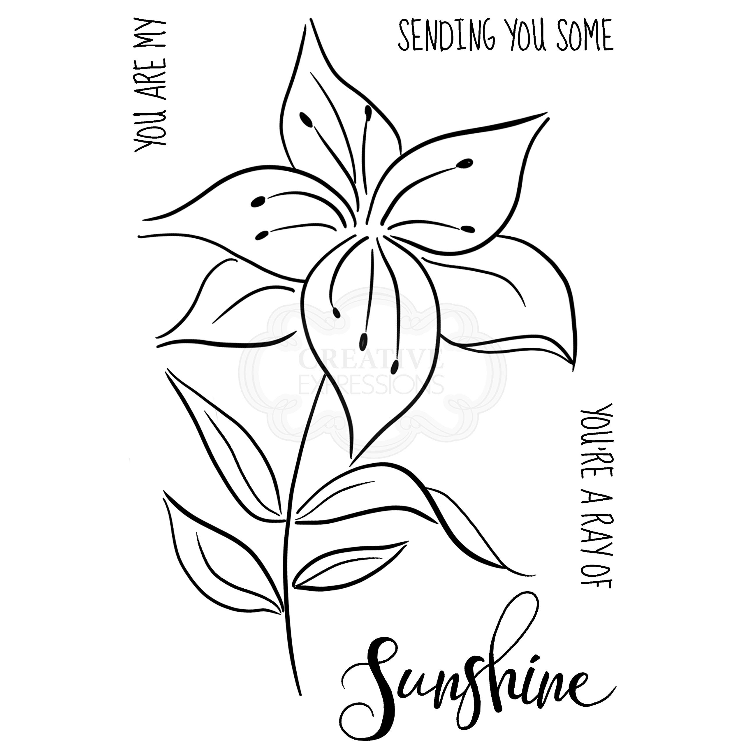 Jane Gill - Clear Singles Lily Sketch - Stamp, Transparent