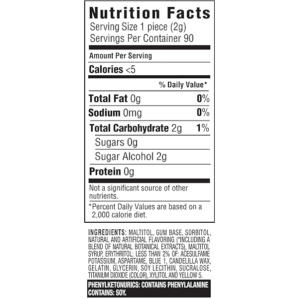 DENTYNE PURE MINT WITH HERBAL ACCENTS SUGAR FREE GUM, 10 PACKS OF 9 PIECES (90 TOTAL PIECES)