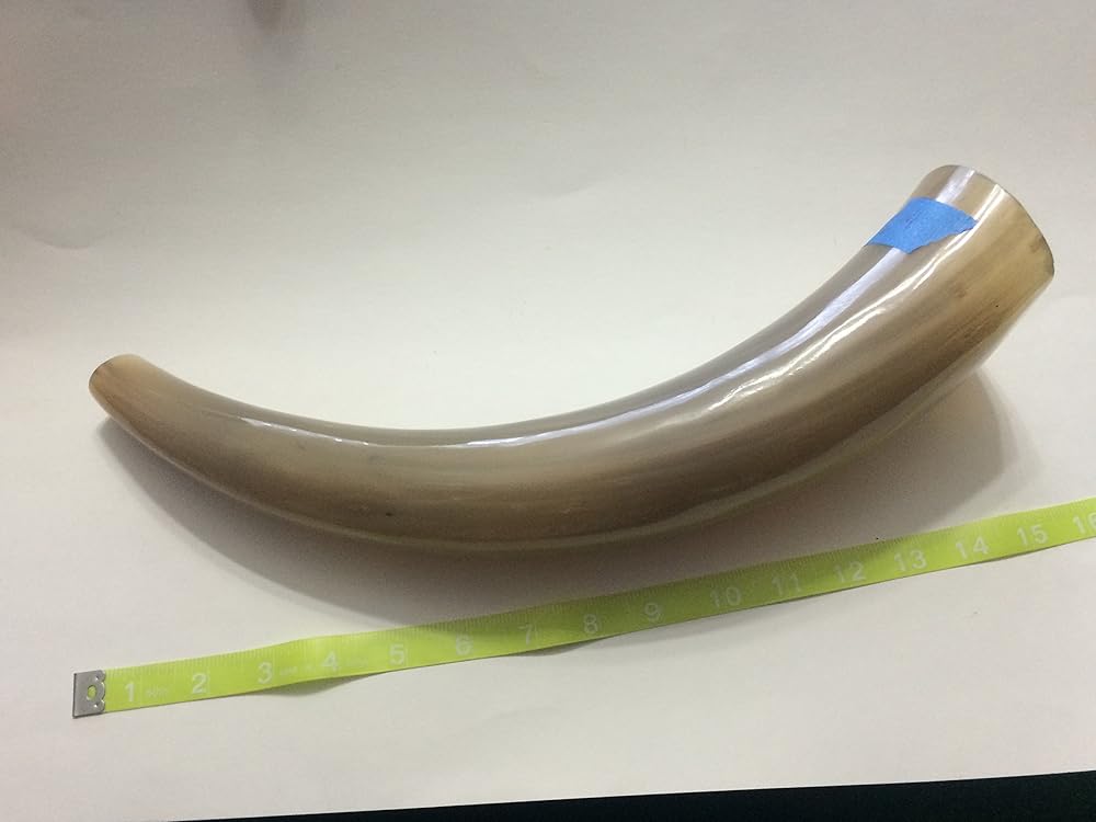 War Horn, Functional Battle Horn, Water Buffalo Horn, Noise