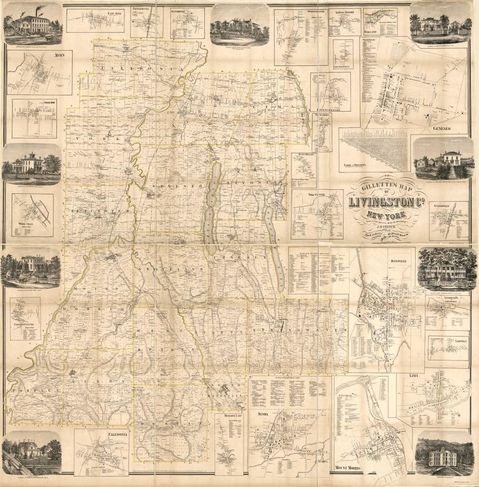 1858 map Gillette's map of Livingston Co, New York : from Actual surveys|Size 24x24 - Ready to Frame| Cadastral Cities and Towns|Dansville|Dansville NY|Geneseo|Geneseo NY|Landowners|Livingston County