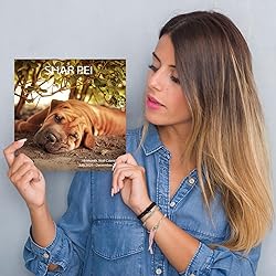 2025-2026 Wall Calendar,Shar Pei Wall
