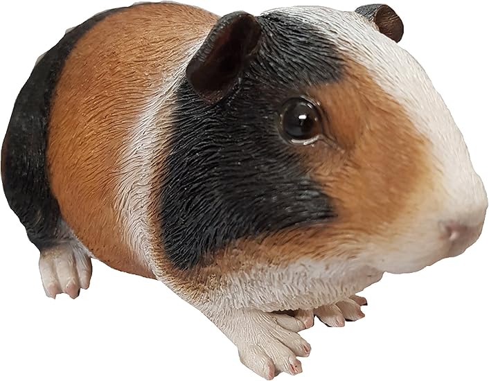 Vivid Arts Bebe Cochon D Inde Pour Decoration Noir Marron Clair Et Blanc Pp Gp01 F Amazon Fr Fournitures De Bureau