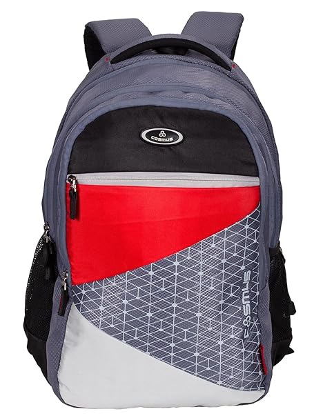 Cosmus 40Ltr Polyester Grey School Backpack