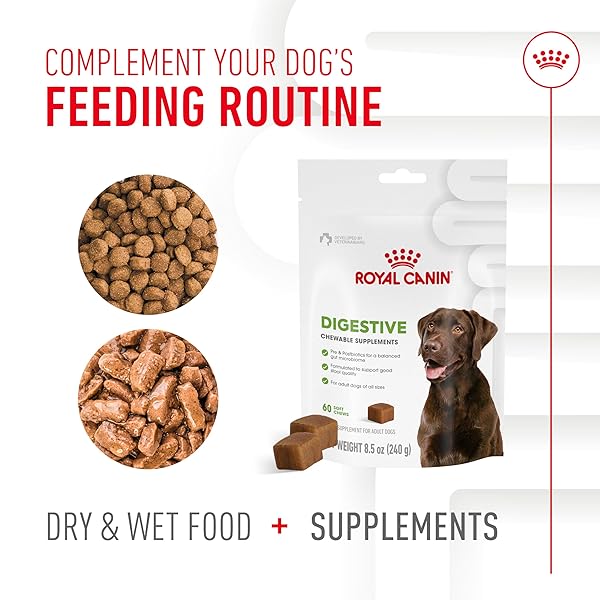 ROYAL CANIN DIGESTIVE DOG SUPPLEMENT SOFT CHEWS FOR ADULT DOGS, 60 COUNT