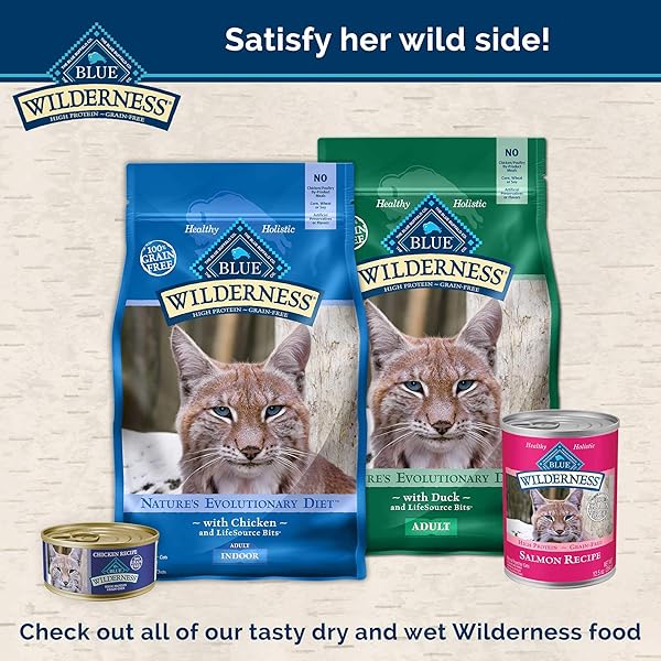 BLUE BUFFALO WILDERNESS CAT TRT SALM SQ 2Z