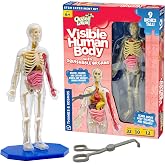 Thames &amp; Kosmos Ooze Labs: Visible Human Body with Squishable Organs | Learn about the Body System | Build a Visible Model, Book Included | STEM Science Learning &amp; Education | Ages 6+