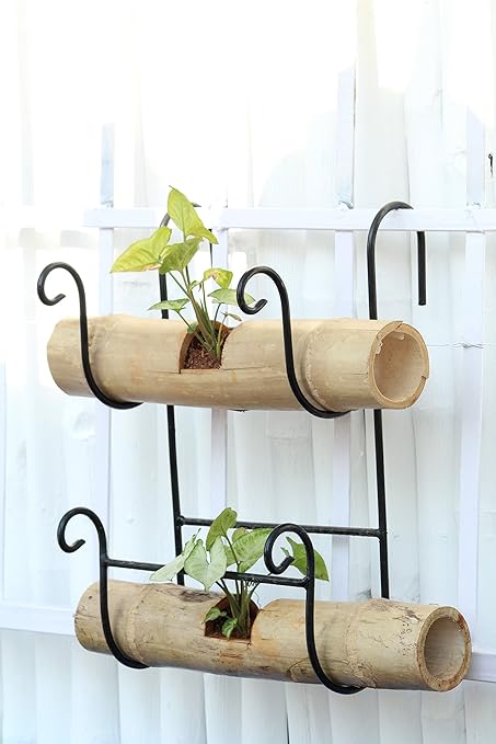 Green Gardenia Iron Railing Bamboo Holder with Bamboo Pot Double (Large)
