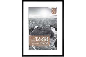 MCS Everline Collection 16x22 Poster Frame, Display Pictures 12x18 With Mat or 16x22 Without Mat, Vertical & Horizontal Wall 