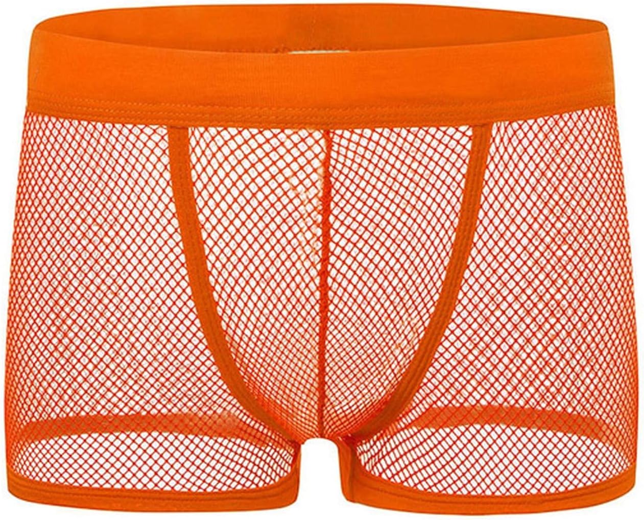 Sexy Mens Shorts Transparent Mesh See Through Net Underpants Low Rise Man Underwear