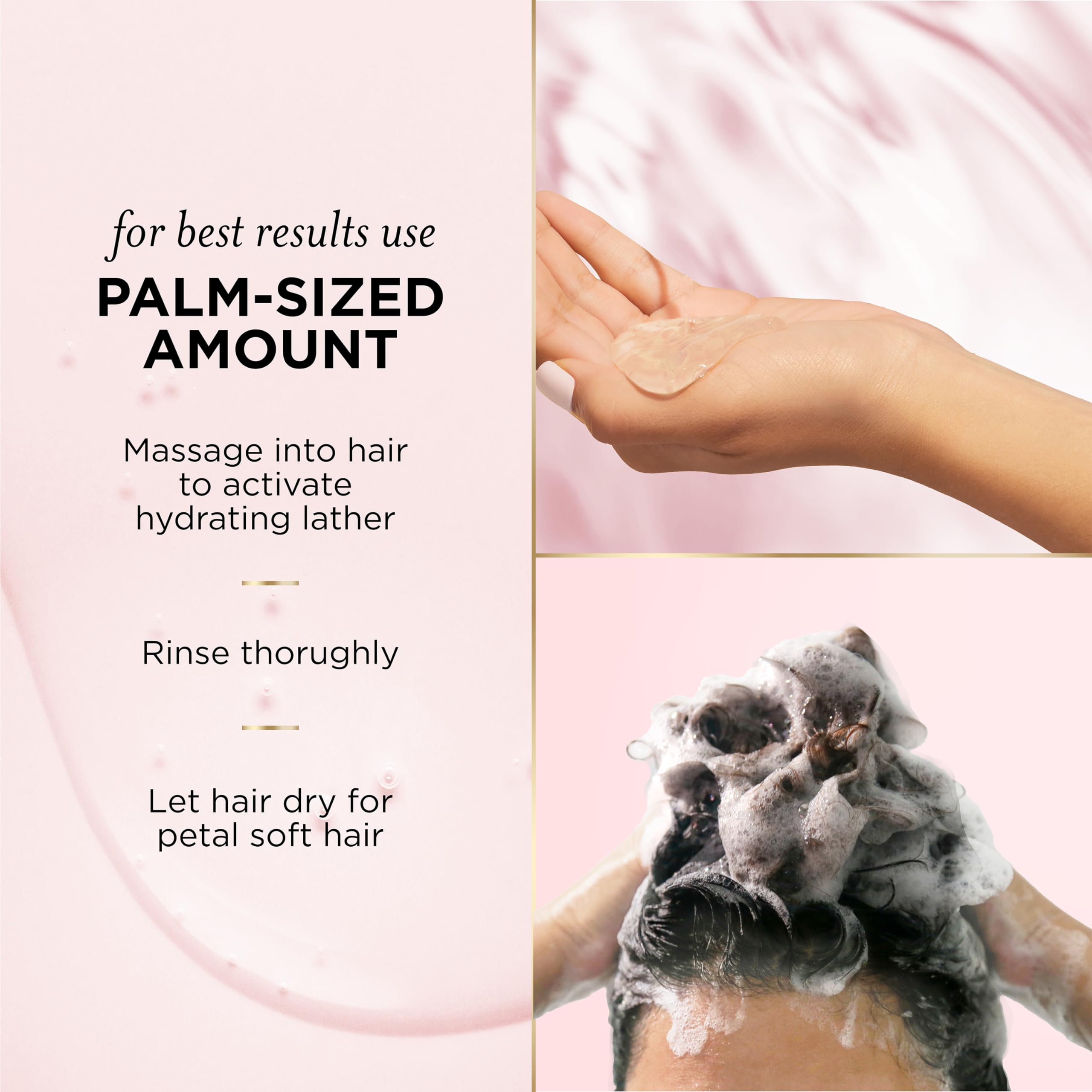 Pantene Nutrient Blends Miracle Moisture Boost Rose Water Shampoo & Conditioner Dual Pack for Dry Hair, Sulfate Free