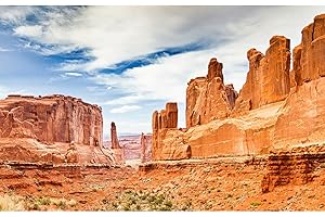 ZatiasMiller Reptile Habitat Background Beautiful Sky Unique Natural Sandstone Rock Formations Terrarium Background Gobi Desert Sturdy Polyester Decor Background 30x12in