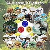 Pup Go Dinosaur Torch & Projector for Kids 3+, 3 Discs 24 Images view 8